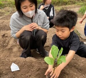 夏野菜を植えました