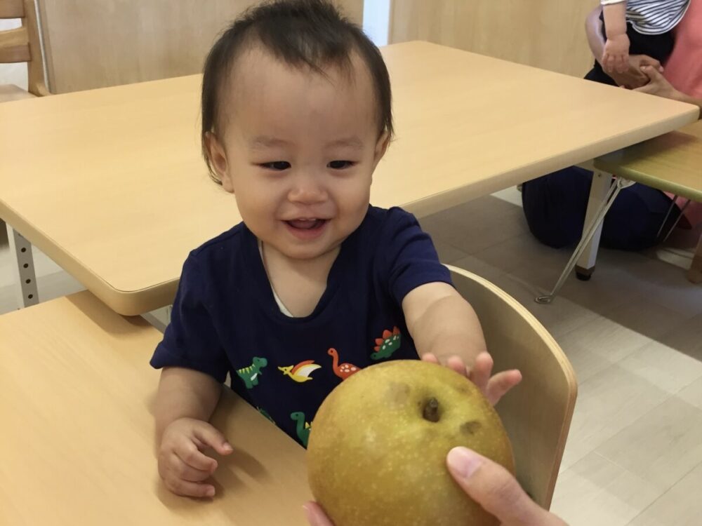 ～果物や野菜を触ろう～