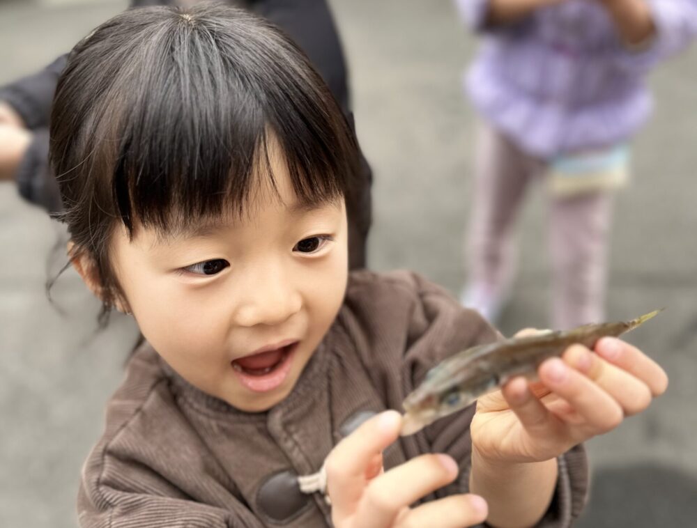魚の解体ショーをしました🐟