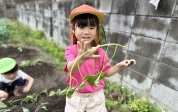 芋の苗植え🌱