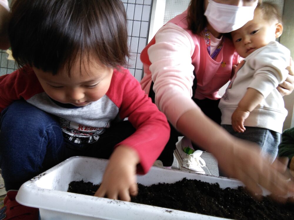 球根を植えました♪